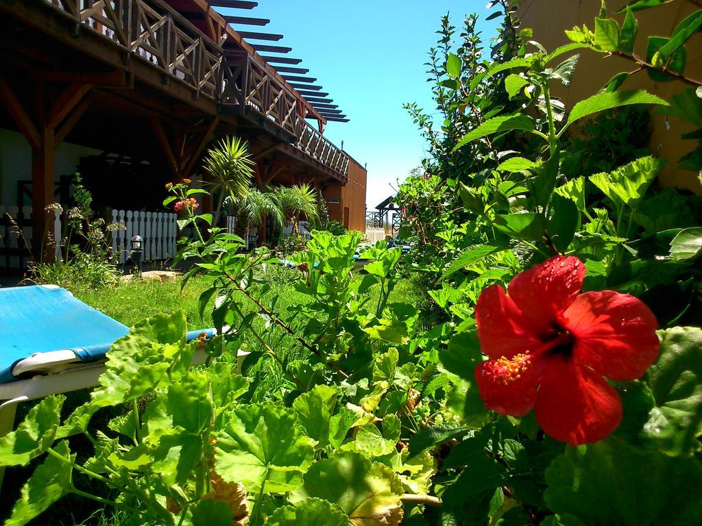 Hostal Playa Mazagón Eksteriør billede